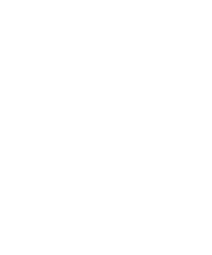 Zebro am Dom